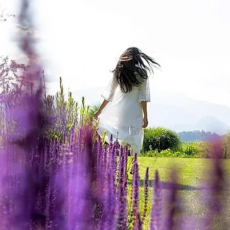 فندق De Charme Laveno فيربانيا