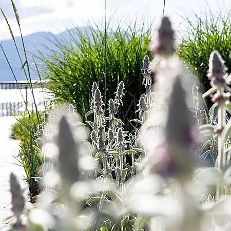 De Charme Laveno 4* فيربانيا